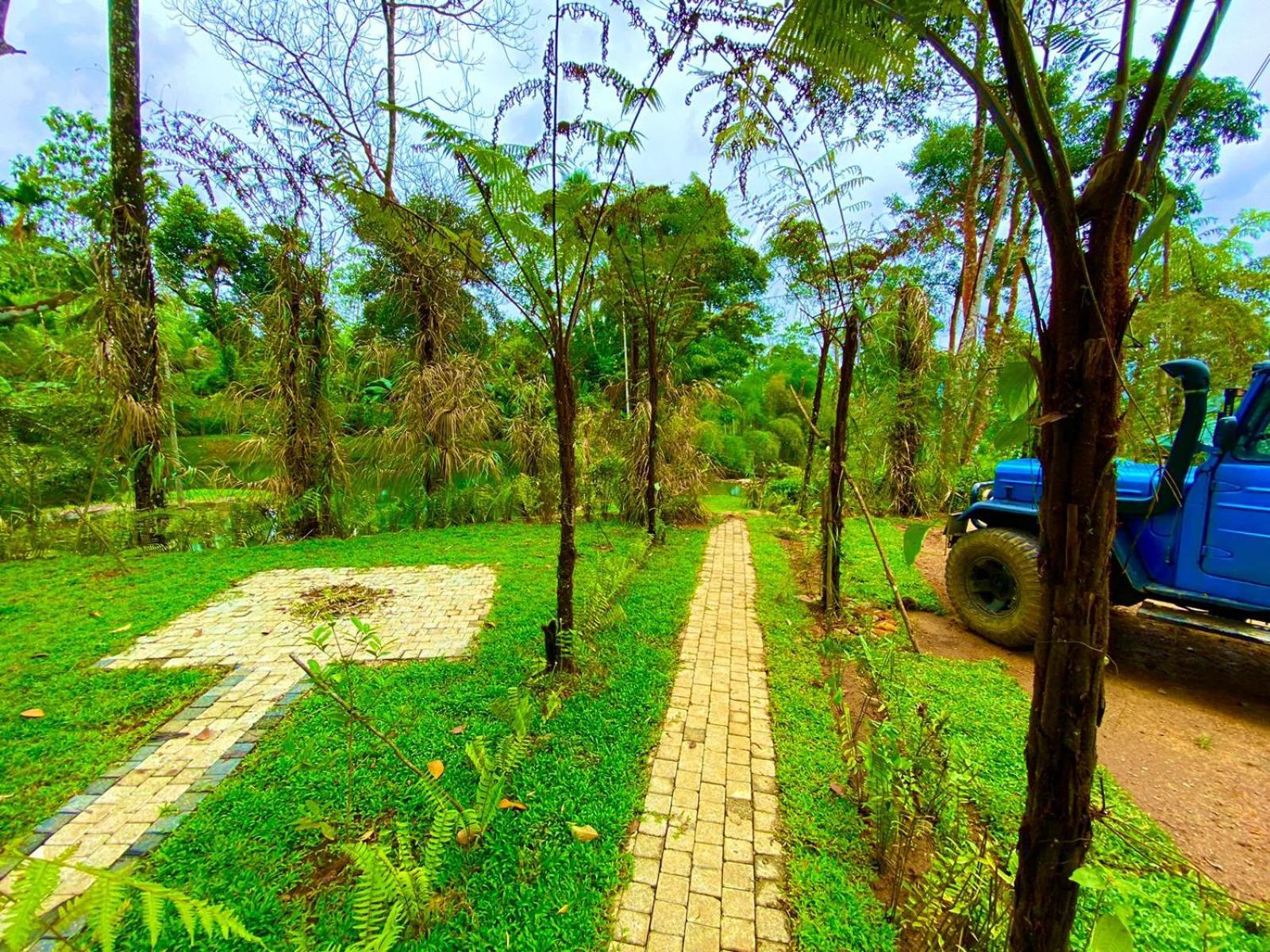 Mist Of Sinharaja Eco Lodge Nelluwa Eksteriør billede